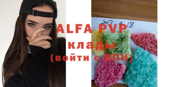 гашик Гусь-Хрустальный