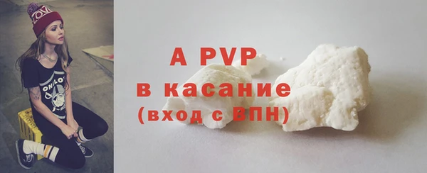 гашик Гусь-Хрустальный