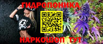 бошки Гагарин