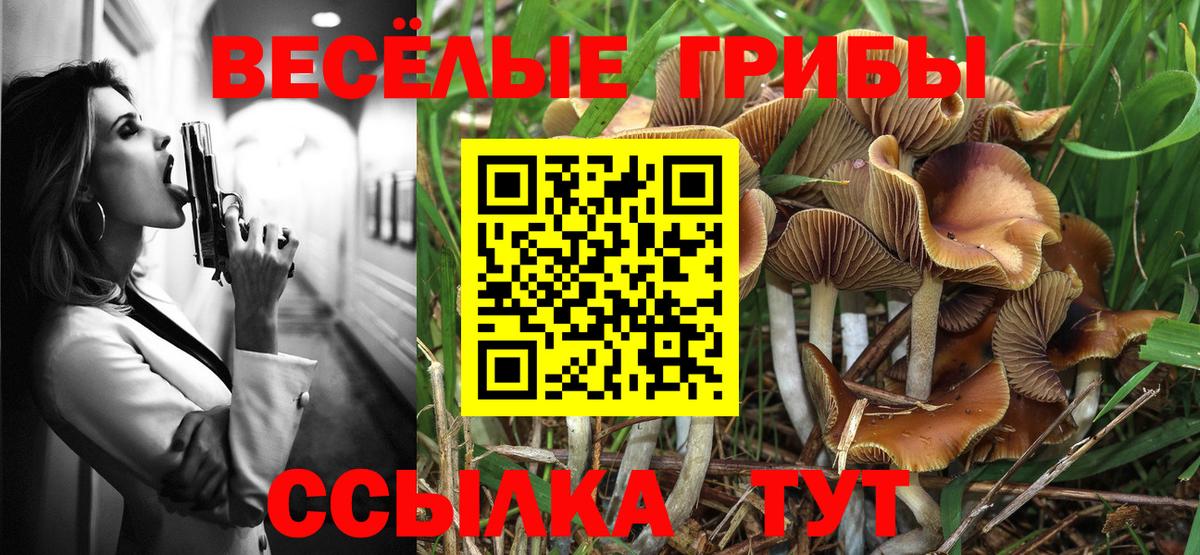 Псилоцибиновые грибы Magic Shrooms Ишим