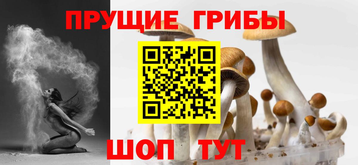 Псилоцибиновые грибы Cubensis Ишим