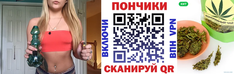 где продают   Ишим  дарк нет наркотические препараты  Каннабис план 